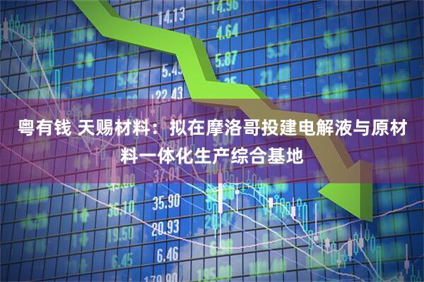 粤有钱 天赐材料：拟在摩洛哥投建电解液与原材料一体化生产综合基地