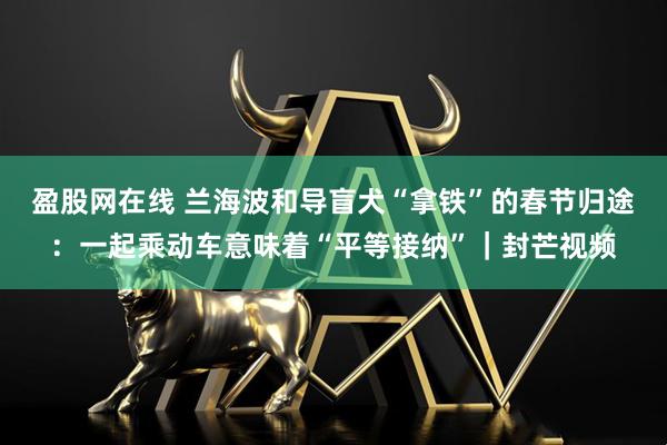 盈股网在线 兰海波和导盲犬“拿铁”的春节归途：一起乘动车意味着“平等接纳”｜封芒视频